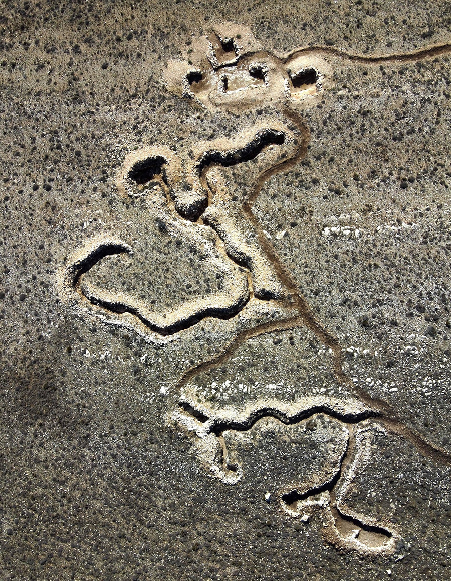 DCIM104MEDIADJI_0319.JPG