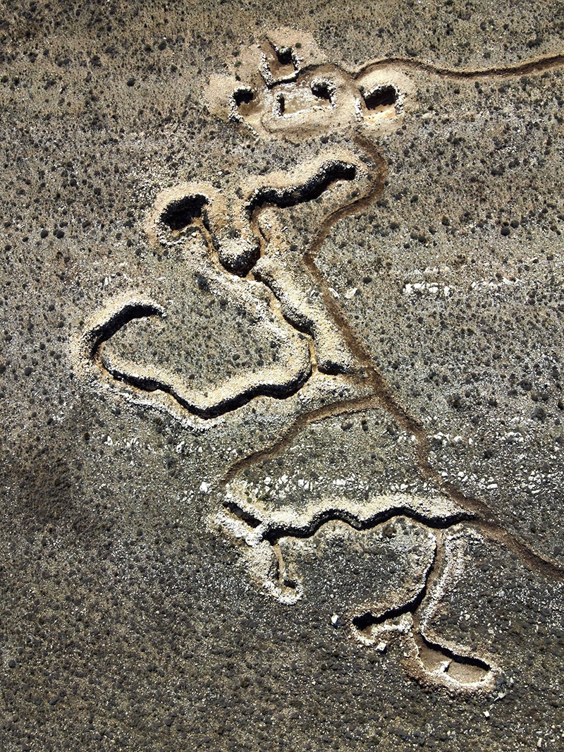 DCIM104MEDIADJI_0319.JPG